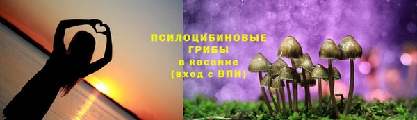 ПСИЛОЦИБИНОВЫЕ ГРИБЫ Богородицк